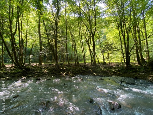 Curak stream near the Zeleni vir picnic area in Gorski kotar - Vrbovsko, Croatia (Potok Curak kod izletišta Zeleni vir u Gorskom kotaru - Vrbovsko, Hrvatska)