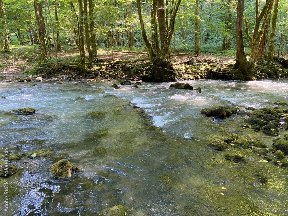 Obraz premium Curak stream near the Zeleni vir picnic area in Gorski kotar - Vrbovsko, Croatia (Potok Curak kod izletišta Zeleni vir u Gorskom kotaru - Vrbovsko, Hrvatska)