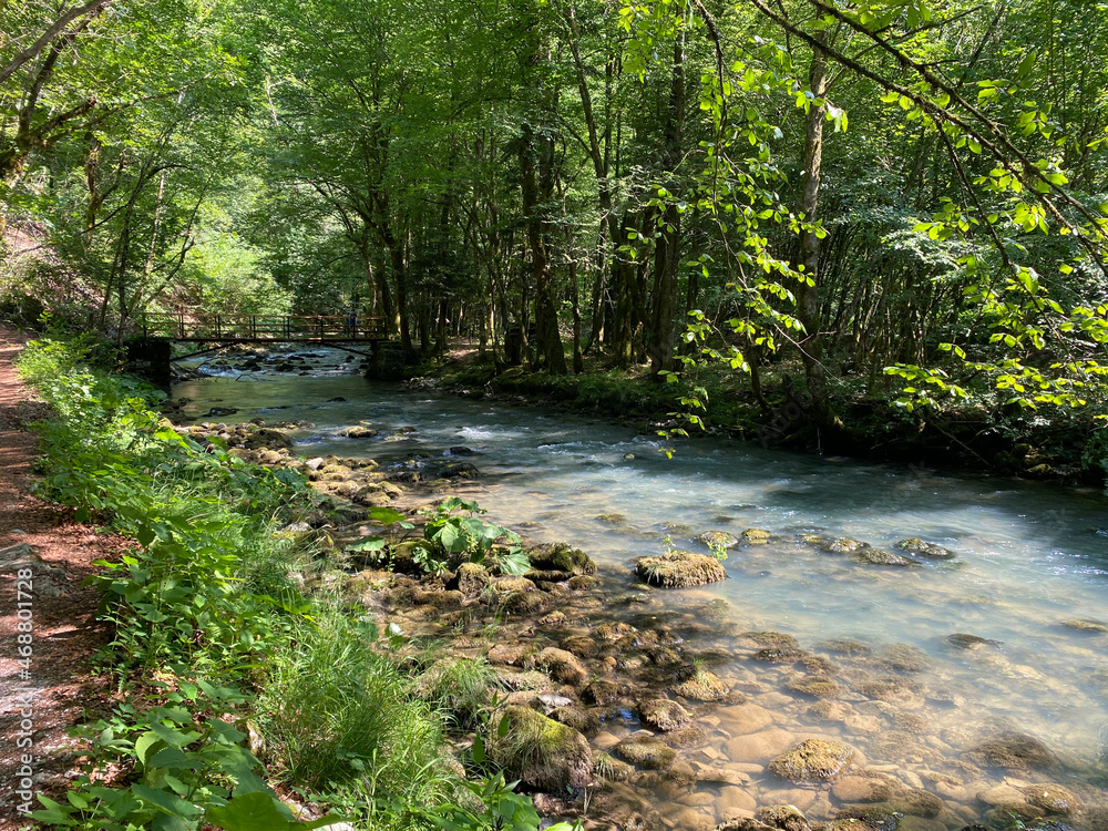 Curak stream near the Zeleni vir picnic area in Gorski kotar - Vrbovsko, Croatia (Potok Curak kod izletišta Zeleni vir u Gorskom kotaru - Vrbovsko, Hrvatska) Curak stream near the Zeleni vir picnic area in Gorski kotar - Vrbovsko, Croatia (Potok Curak kod izletišta Zeleni vir u Gorskom kotaru - Vrbovsko, Hrvatska)