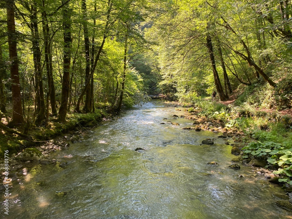 Curak stream near the Zeleni vir picnic area in Gorski kotar - Vrbovsko, Croatia (Potok Curak kod izletišta Zeleni vir u Gorskom kotaru - Vrbovsko, Hrvatska)