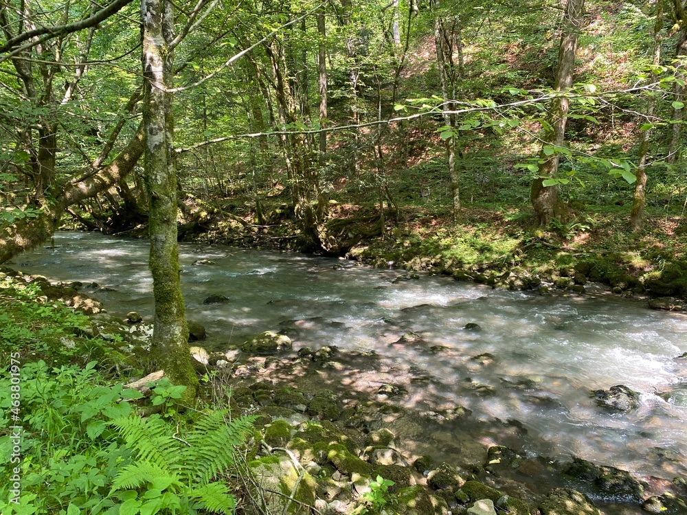 Obraz premium Curak stream near the Zeleni vir picnic area in Gorski kotar - Vrbovsko, Croatia (Potok Curak kod izletišta Zeleni vir u Gorskom kotaru - Vrbovsko, Hrvatska)