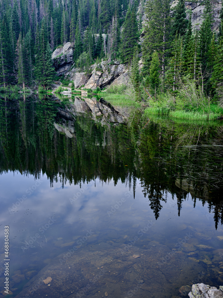 Crystal Clear Bear Lake and tree reflections in a vertical image in the Rocky Mountains National Park Crystal Clear Bear Lake and tree reflections in a vertical image in the Rocky Mountains National Park