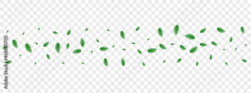 Greenish Greenery Background Transparent Vector. Sheet Clear Frame. Herbal Design. Green Wind Card. Leaf Isolated.