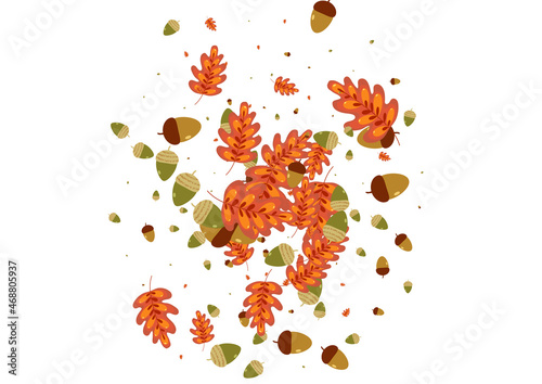 Red Oak Background White Vector. Acorn Banner Set. Yellow Leaf. Floral Texture. Brown Plant Isolated.