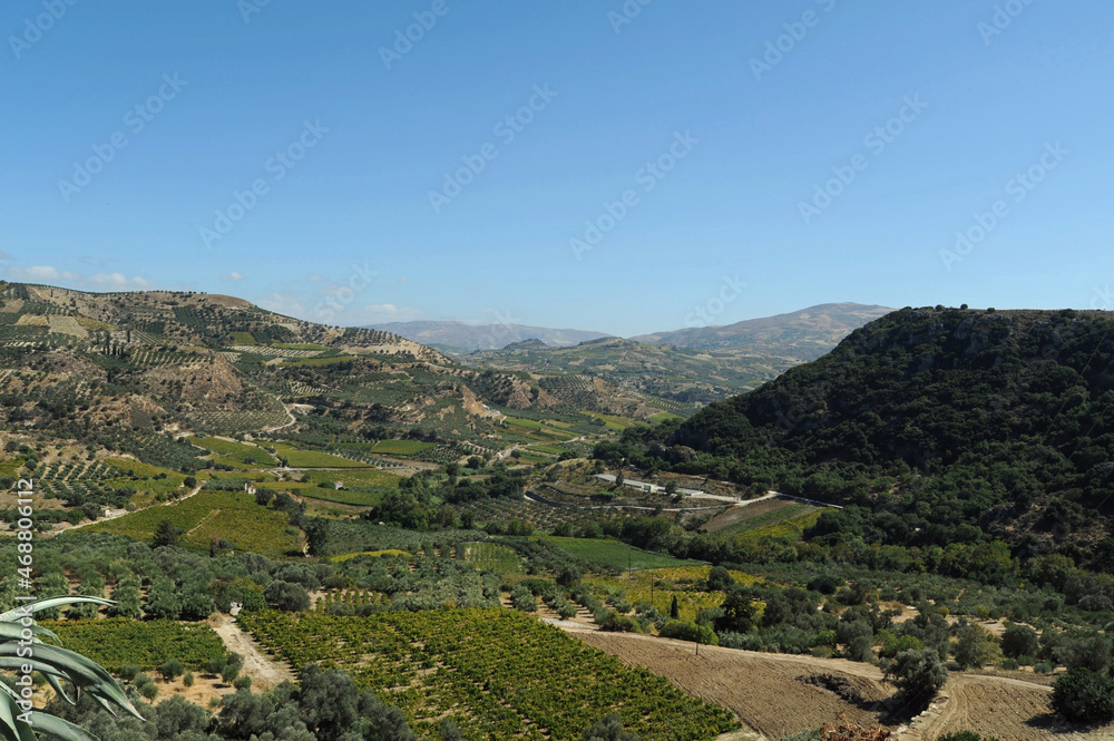 Le vignoble de Vénérato en Crète