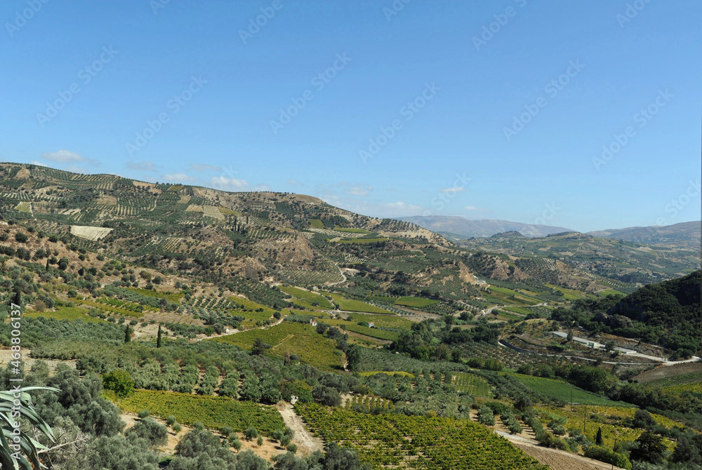 Le vignoble de Vénérato en Crète