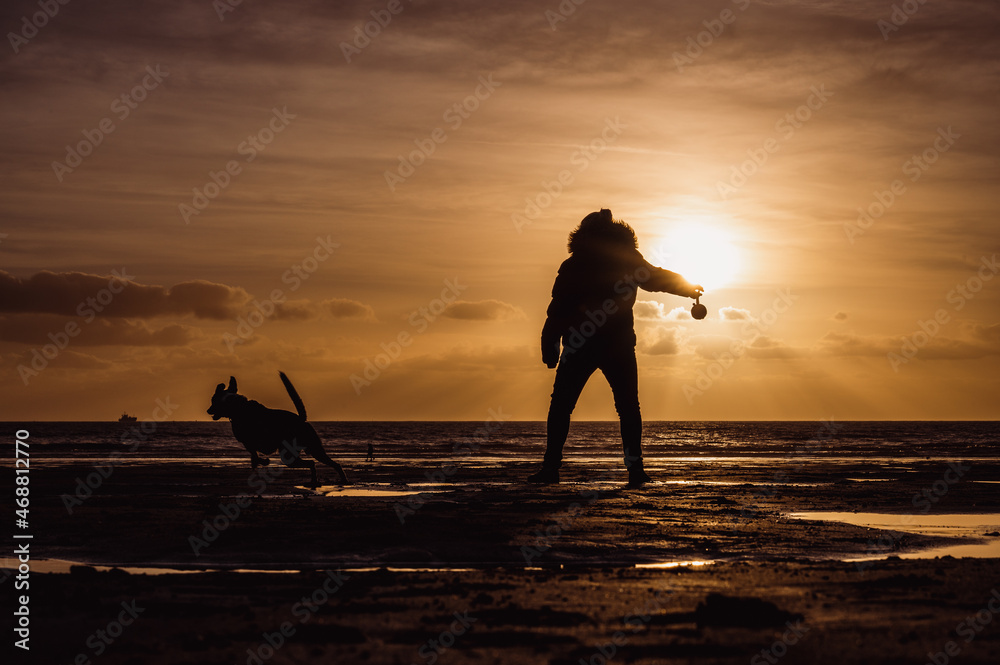 Silhouette of a Woman playing fetch with her dog on a beach at Sunset