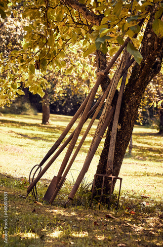 Garten Gartenwerkzeug
