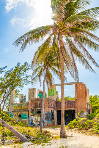 Tropical palm trees with blue sky Playa del Carmen Mexico.