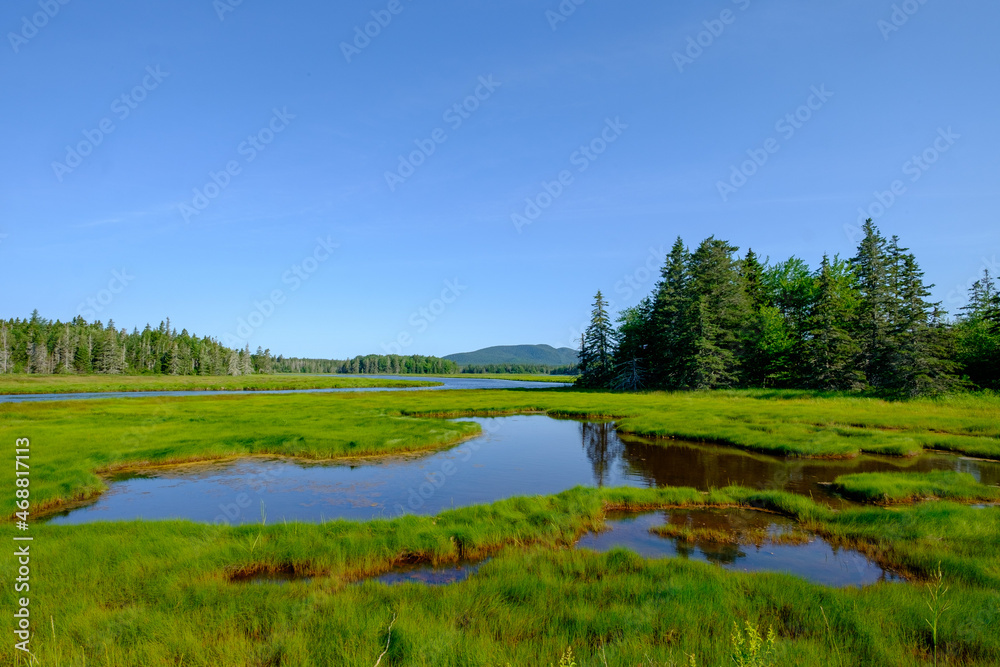 Colorful Maine Bog leading to the Bubbles in Acadia Park
