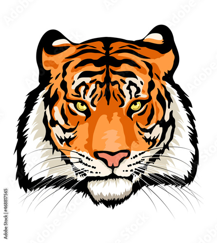 Tiger bengal head isolated on white background.