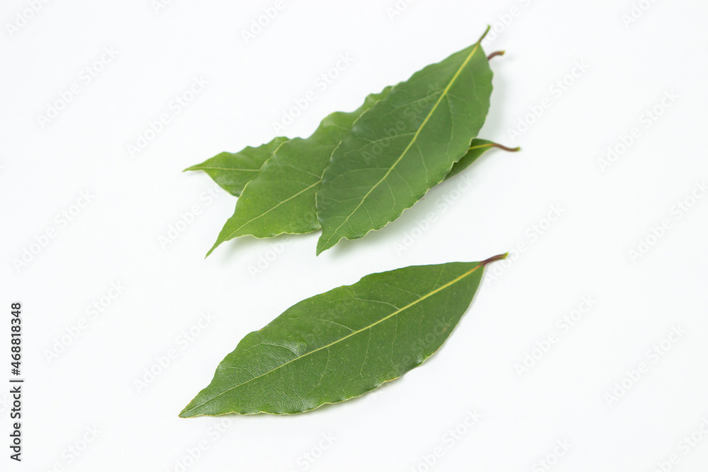 Green bay leaf on a white background. Traditional seasoning Green bay leaf on a white background. Traditional seasoning