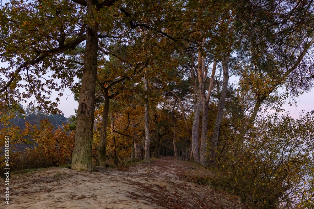 Colorful autumn foliage along pathway on peninsula in De IJzeren Man lake during sunrise.