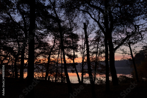 Sunrise colorful autumn morning reflecting in a still calm lake seen through the silhouetted trees in the foreground. Moody seasonal early morning sunshine.