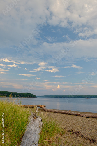 Washed Drift wood litters the beach on the Penobscot river in Maine