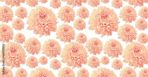 Flower patern. Repeating yellow chrysanthemum flowers.