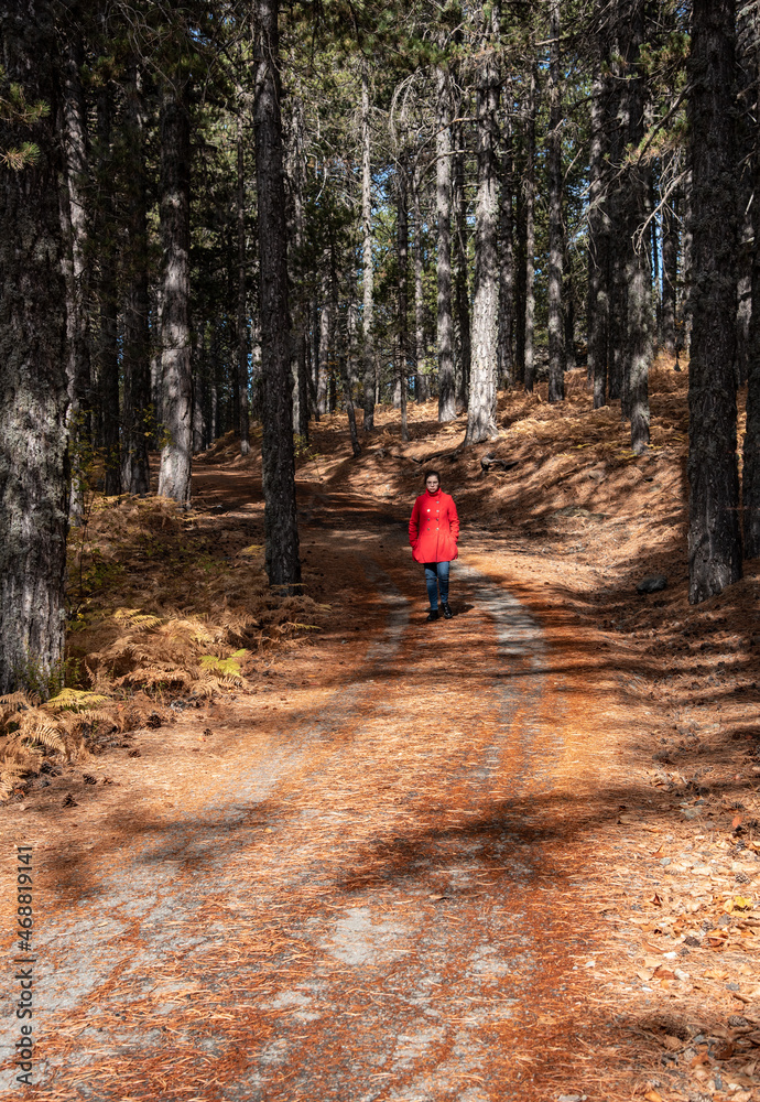 Obraz premium Young woman walking in the forest at Autumn.
