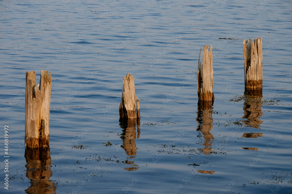 Four wooden pilings at sundown