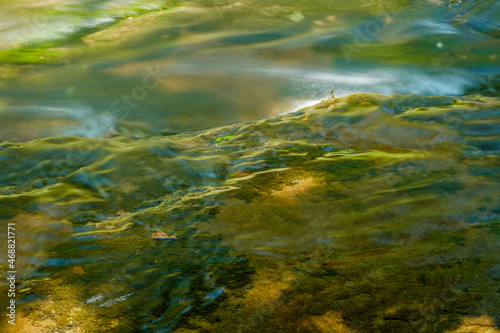Moss covered shallow brook dappled by summer sunlight