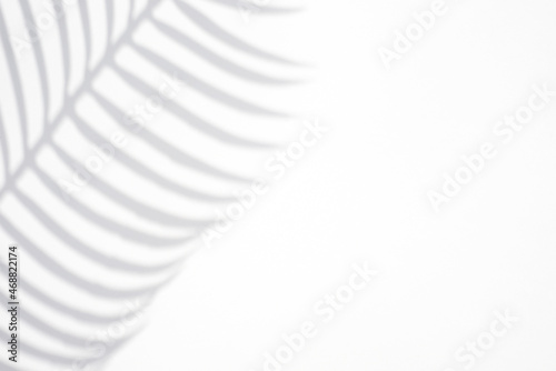 Trending concept in natural materials with palm leaves shadow on white background. Presentation with daylight. Natural blurred shade. Summer sunlight Abstract backdrop for text or advertising.