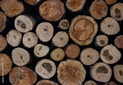 Obraz na płótnie Medium-sized firewood cuts stacked in a woodpile w salonie