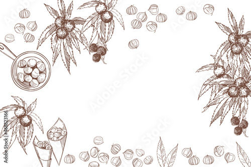Roasted chestnuts set.  Vector   background.