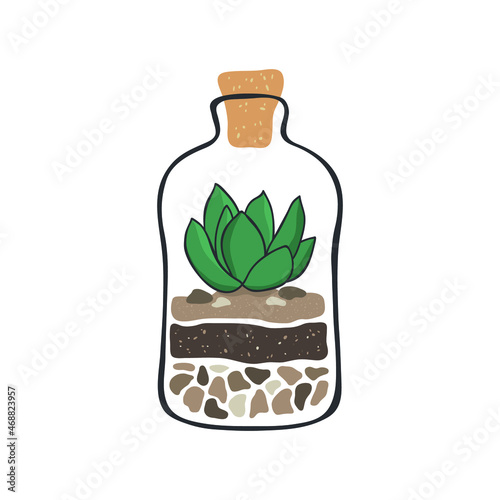 Cactus succulent in a glass bottle. Succulent in terrarium. Regular cacti succulent. Hygge lifestyle vector collection.
