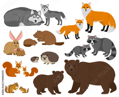 Fototapeta Naklejka Na Ścianę i Meble -  Cartoon forest woodland animals mothers with cute babies. Forest wild animals parent, woods fauna mothers and children vector illustration set. Animals mom and kids