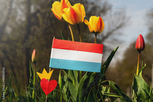 Netherlands paper flag on tulips background. Koningsdag or King's Day is a national holiday in the Kingdom of the Netherlands. photo