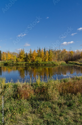 Fototapeta Naklejka Na Ścianę i Meble -  Autumn Forest with a Calm Pond