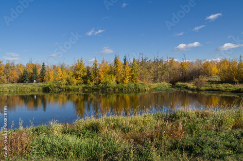 Pylypow Wetlands on a Sunny Autumn Day