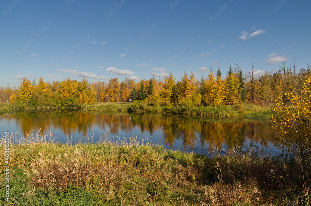 Autumn Forest with a Calm Pond