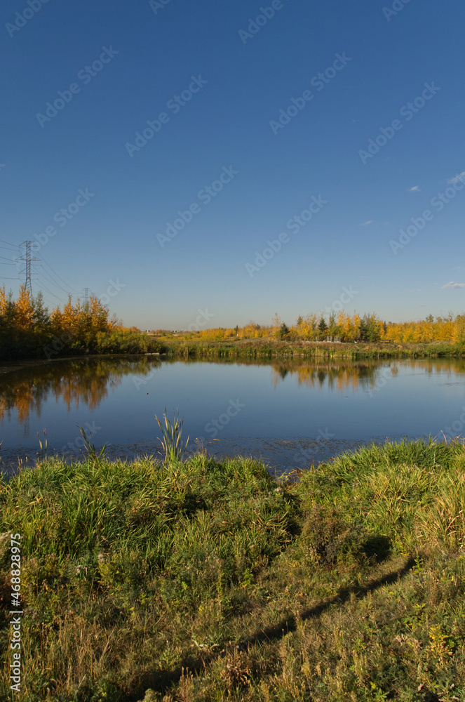 Pylypow Wetlands on a Sunny Autumn Day Pylypow Wetlands on a Sunny Autumn Day