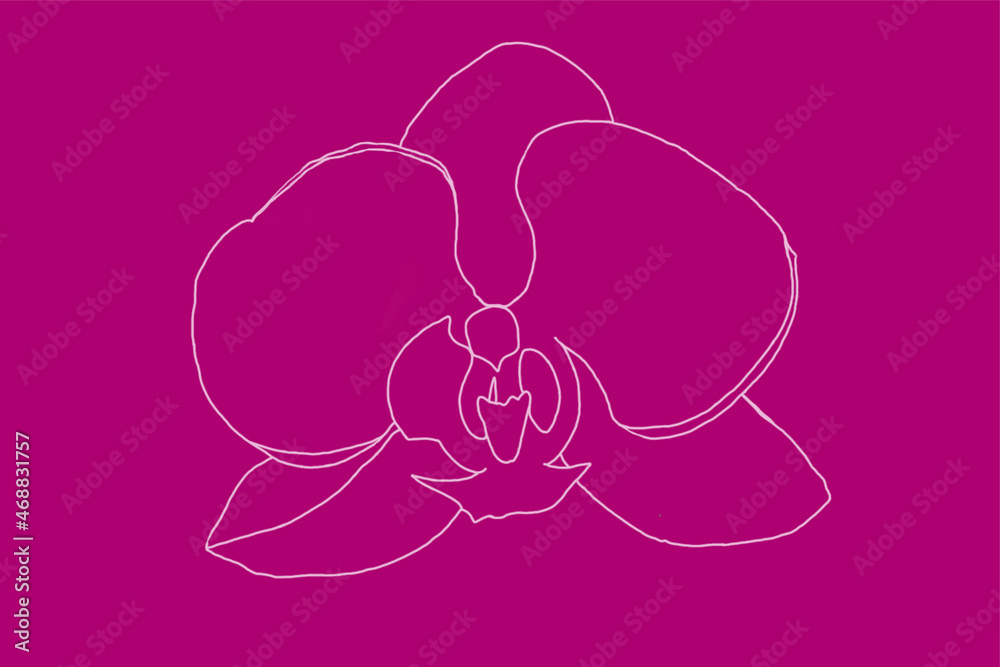 Orchid c vector