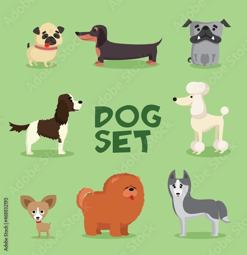 Cute dogs collection. Vector illustration of cartoon different breeds dogs, such as alaskan malamute, corgi, samoyed, border collie, doberman pinscher and pug in flat style. Isolated on white.