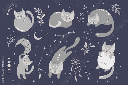 Vector set for childrens illustration. Sleeping cute cats, moon, stars, dream catcher, twigs, berries. Cute animals for printing on baby clothes.