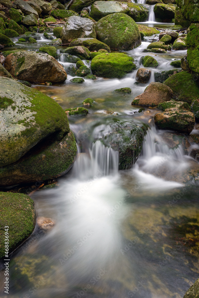Mountain stream with stones with clear water Mountain stream with stones with clear water