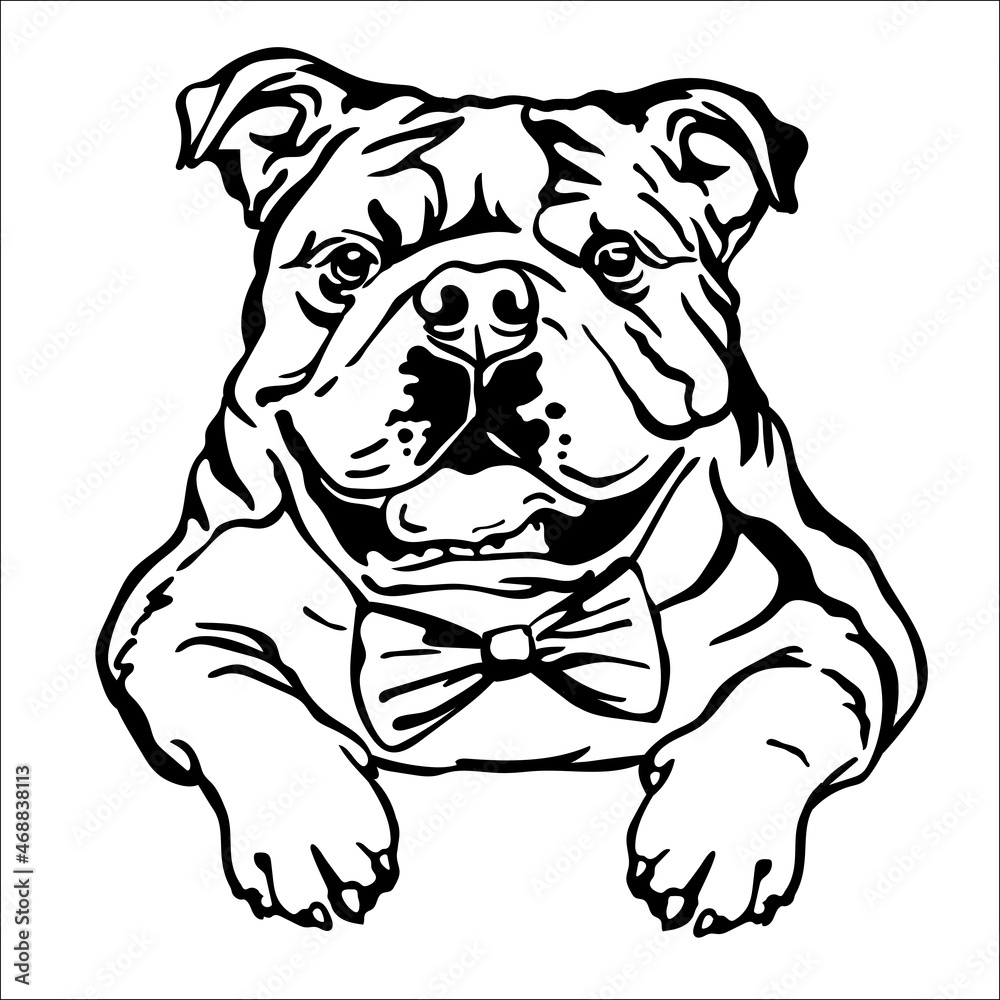 English bulldog vector black contour portrait vector English bulldog vector black contour portrait vector