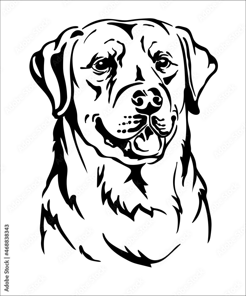 Labrador retriever dog vector black contour portrait vector Stock