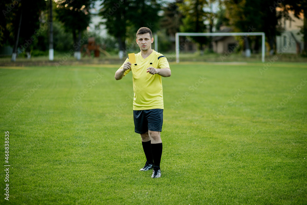 Soccer referee to point out a yellow card to a player in the soccer stadium