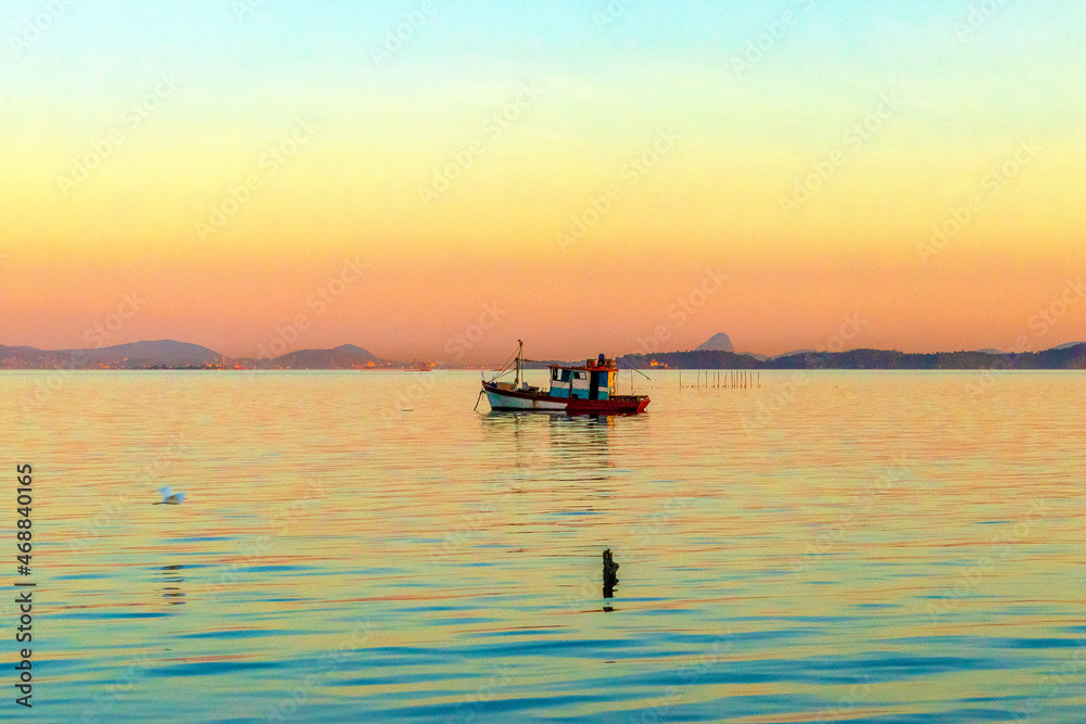 Fototapeta premium Natureza, rosa, rosa vermelha