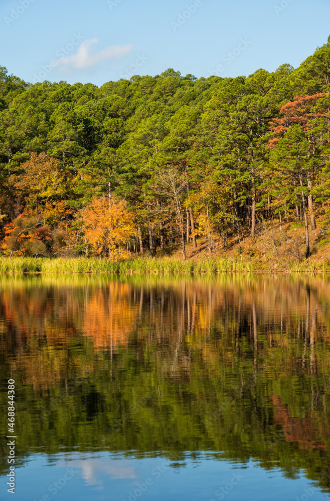 Fall foliage with rippled reflection on Cedar Lake, Oklahoma, on a sunny November morning Fall foliage with rippled reflection on Cedar Lake, Oklahoma, on a sunny November morning