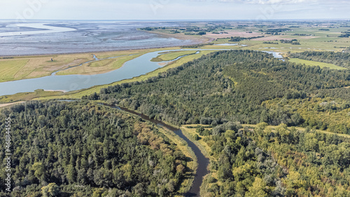 Luftaufnahme von einem grünen Wald mit einem Waldweg und einem kleinen Fluss in der Mitte bei schönem Wetter