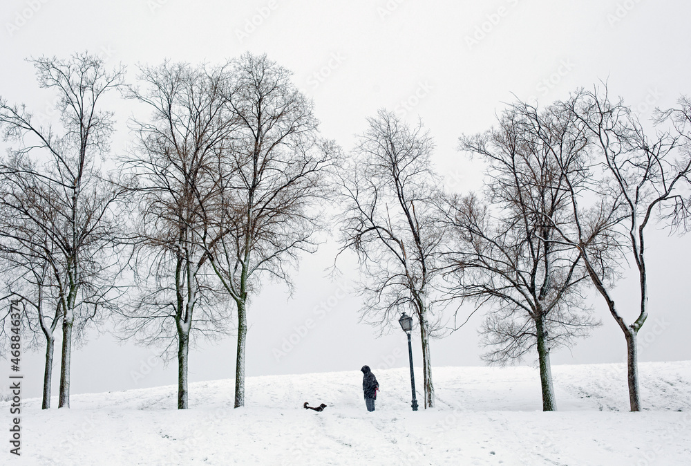 Winter landscape. In a snow-covered park, a silhouette of a man and a dog stands between trees without leaves. Winter landscape. In a snow-covered park, a silhouette of a man and a dog stands between trees without leaves.