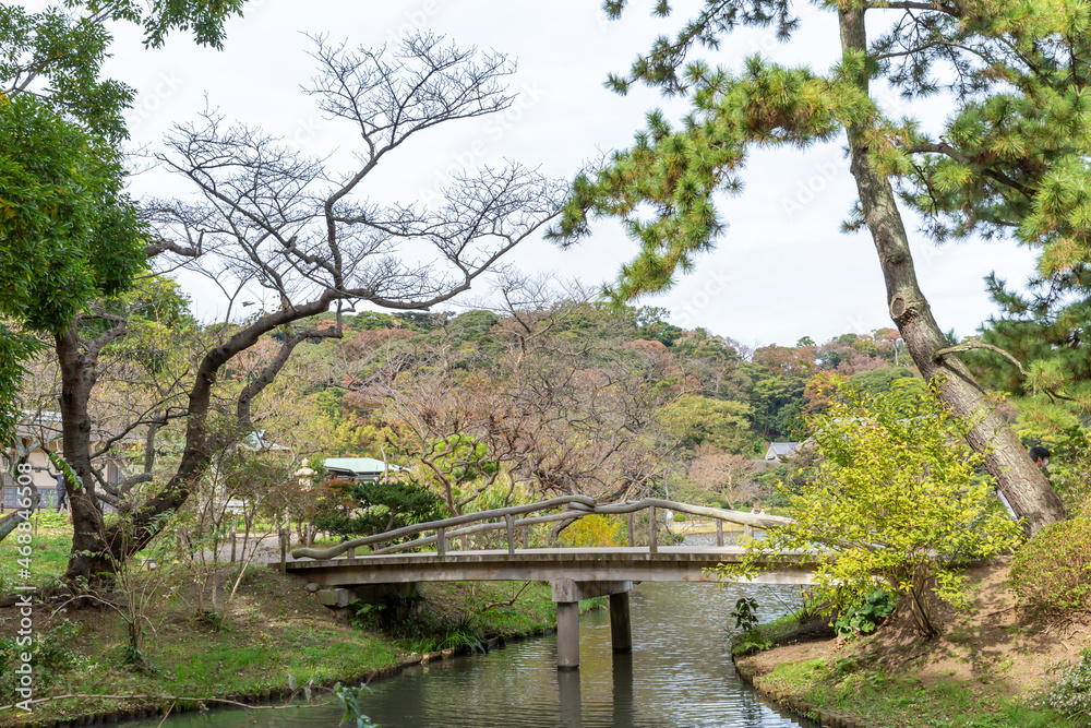 empty wooden bridge on the pond in autumn japanese garden empty wooden bridge on the pond in autumn japanese garden