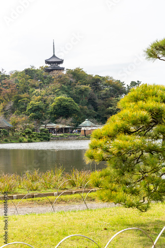 scenery of buddhist tower, pond, pine tree in autumn japanese garden
