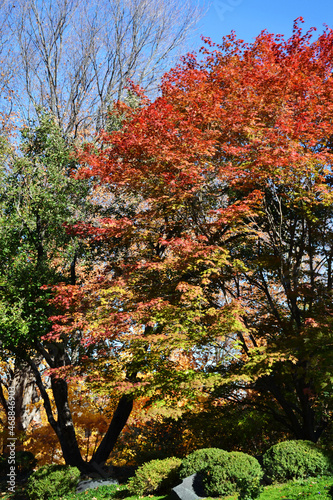 Autumn landscape in a park