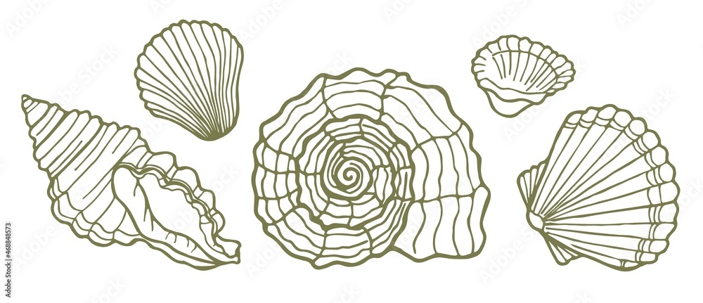 A set of five sketch-style seashells. Vector illustration. Design for decoration. A set of five sketch-style seashells. Vector illustration. Design for decoration.