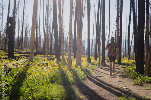 Trail Runner in Forest with Wildflowers