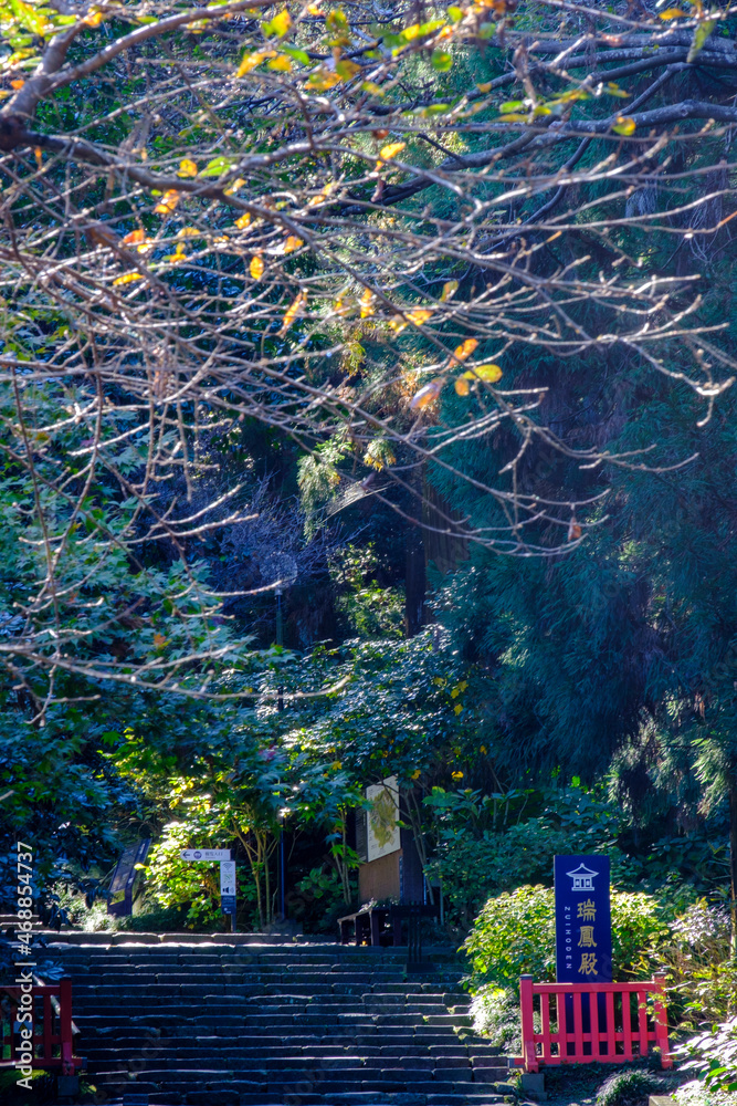 瑞鳳殿の紅葉 StockFoto Adobe Stock